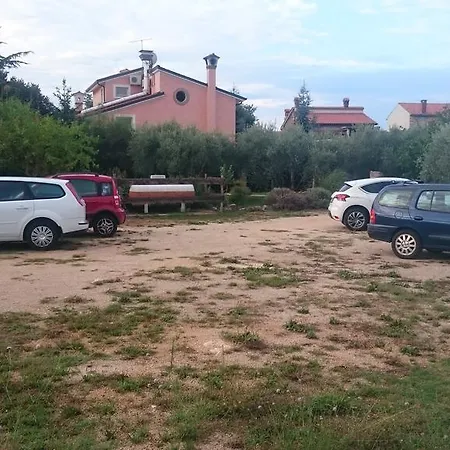 Pino